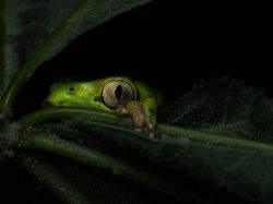 Karya Menawan Jawara Kontes Foto Alam