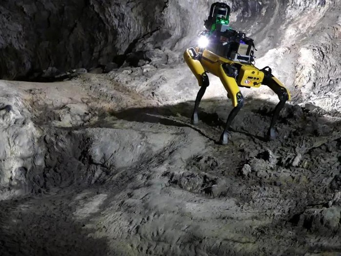 Robot anjing penjelajah Mars