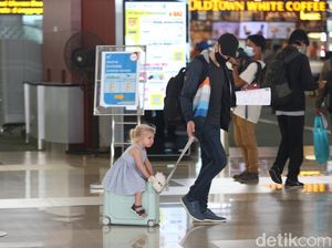 Anggota DPR: PPKM Darurat Tak Maksimal Bila Perjalanan LN Tak Ditutup