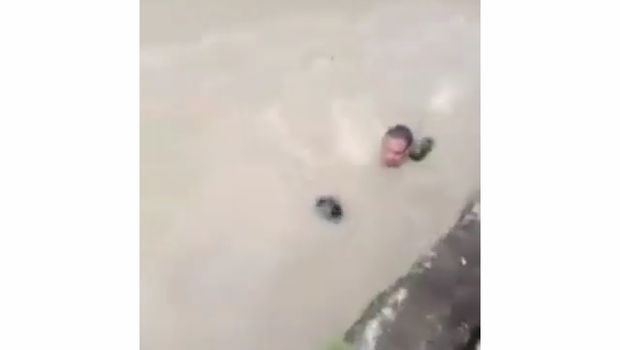 viral pria heroik selamatkan bocah hanyut di sungai