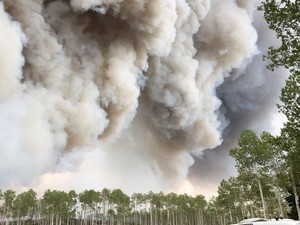 Ilmuwan Yakini Asap Kebakaran Hutan Bisa Sebarkan Penyakit Menular