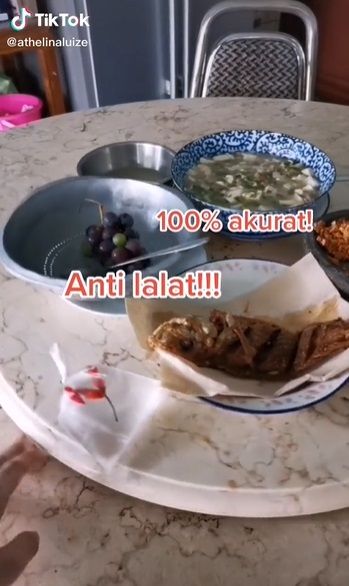 Cara Mengusir Lalat Pada Makanan