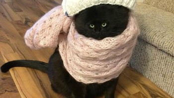 Ada mata yang sedang menatap. Foto: sadanduseless