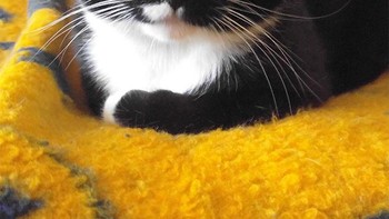 Kok seram ya? Foto: sadanduseless