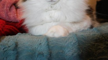 Lucu atau bikin takut? Foto: sadanduseless