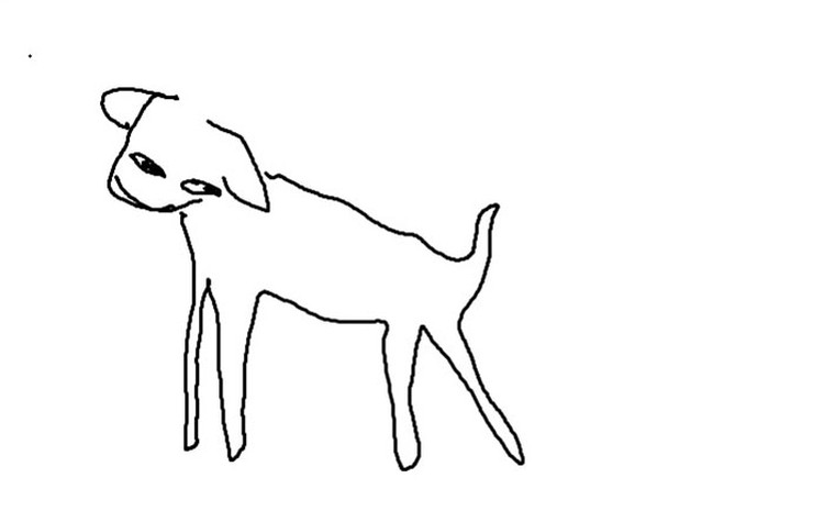 fotoinet gambar anjing tangan