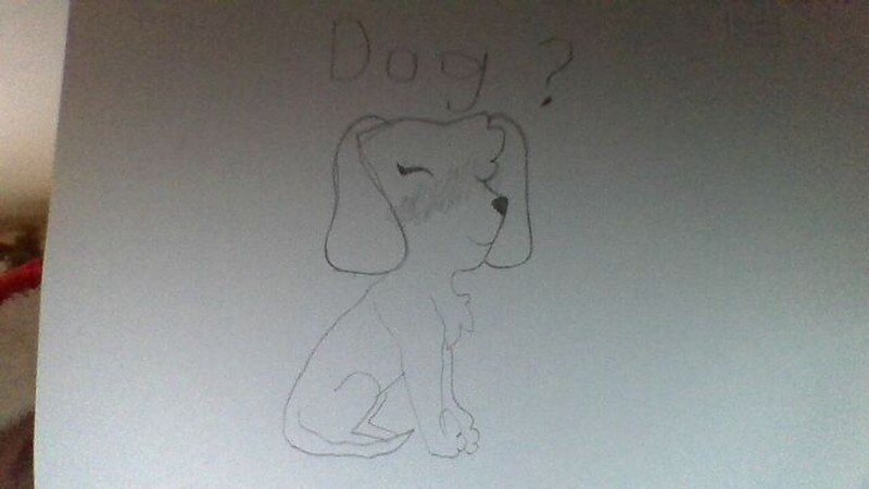 fotoinet gambar anjing tangan