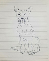 fotoinet gambar anjing tangan