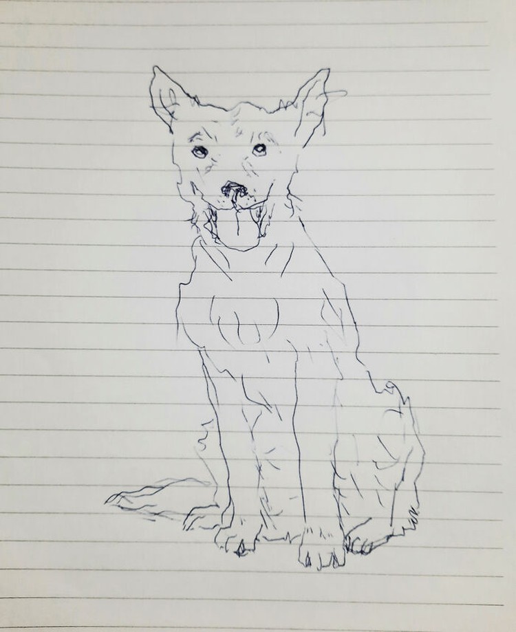 fotoinet gambar anjing tangan