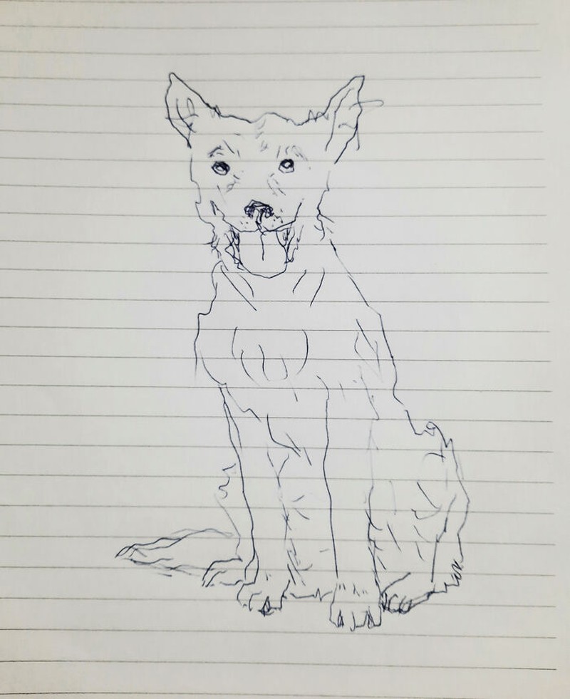 fotoinet gambar anjing tangan