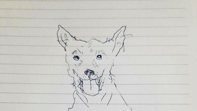 Ketika Mereka Ditantang Melukis Anjing dengan Tangan Nondominan