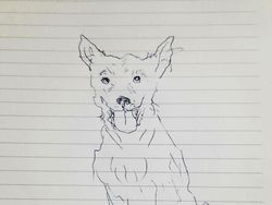 Ketika Mereka Ditantang Melukis Anjing dengan Tangan Nondominan