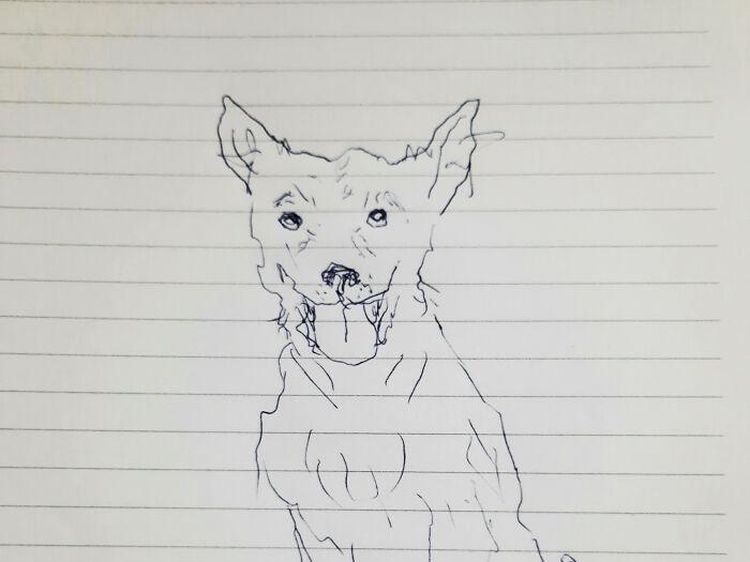 Ketika Mereka Ditantang Melukis Anjing dengan Tangan Nondominan