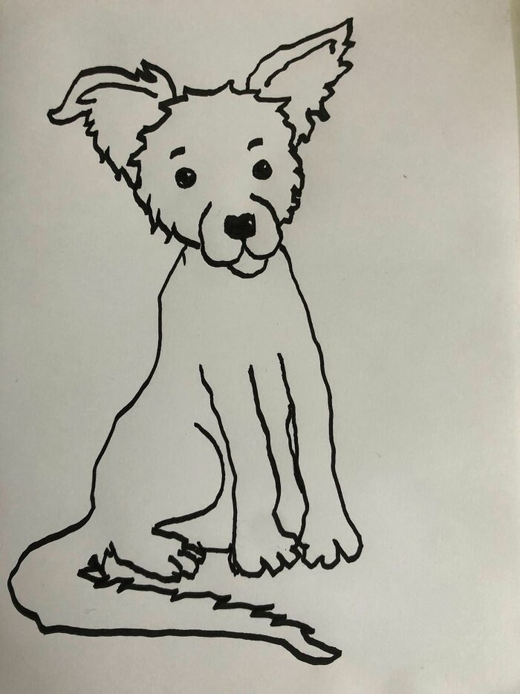 fotoinet gambar anjing tangan