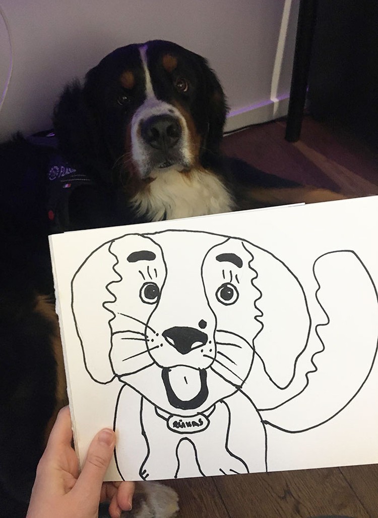 fotoinet gambar anjing tangan