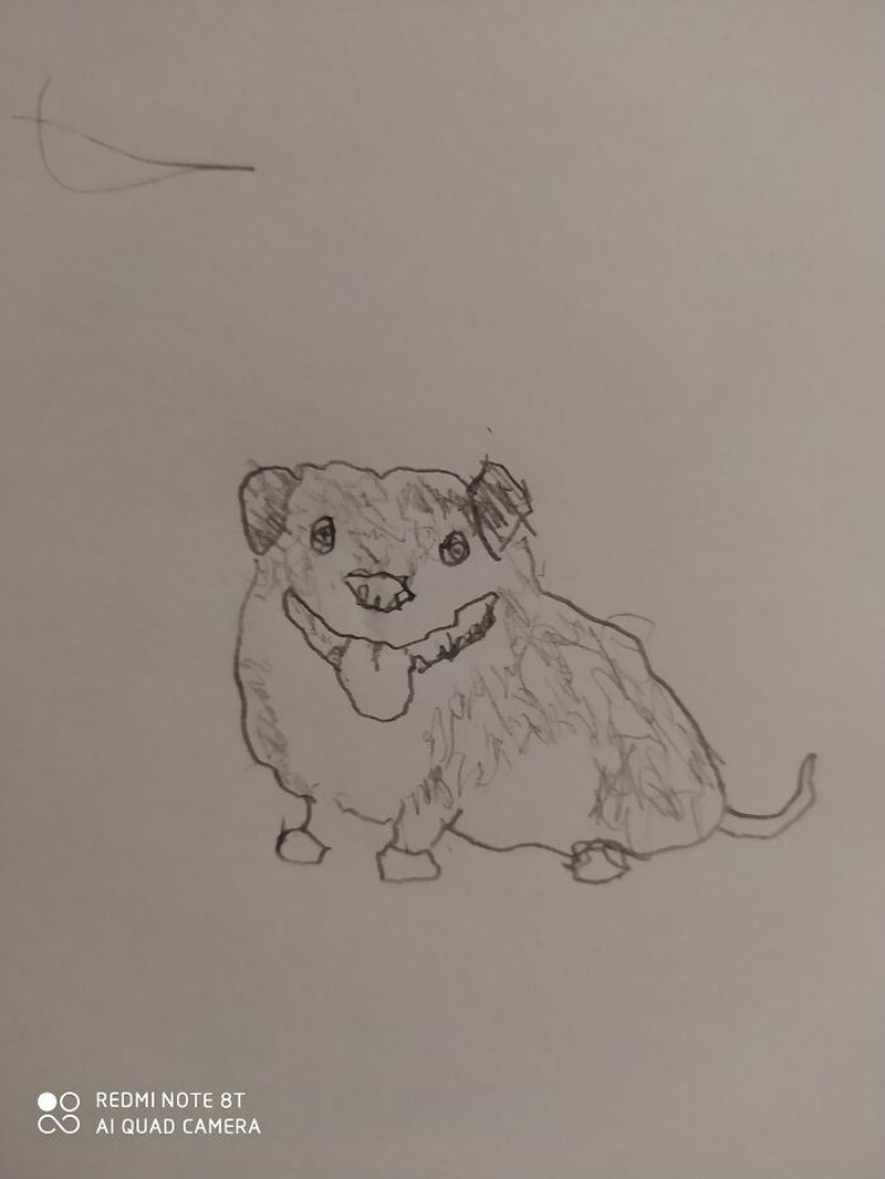 fotoinet gambar anjing tangan
