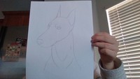 fotoinet gambar anjing tangan