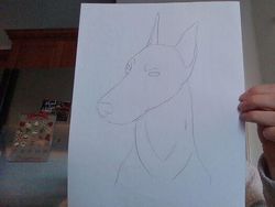 Ketika Mereka Ditantang Melukis Anjing dengan Tangan Nondominan