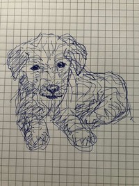 fotoinet gambar anjing tangan