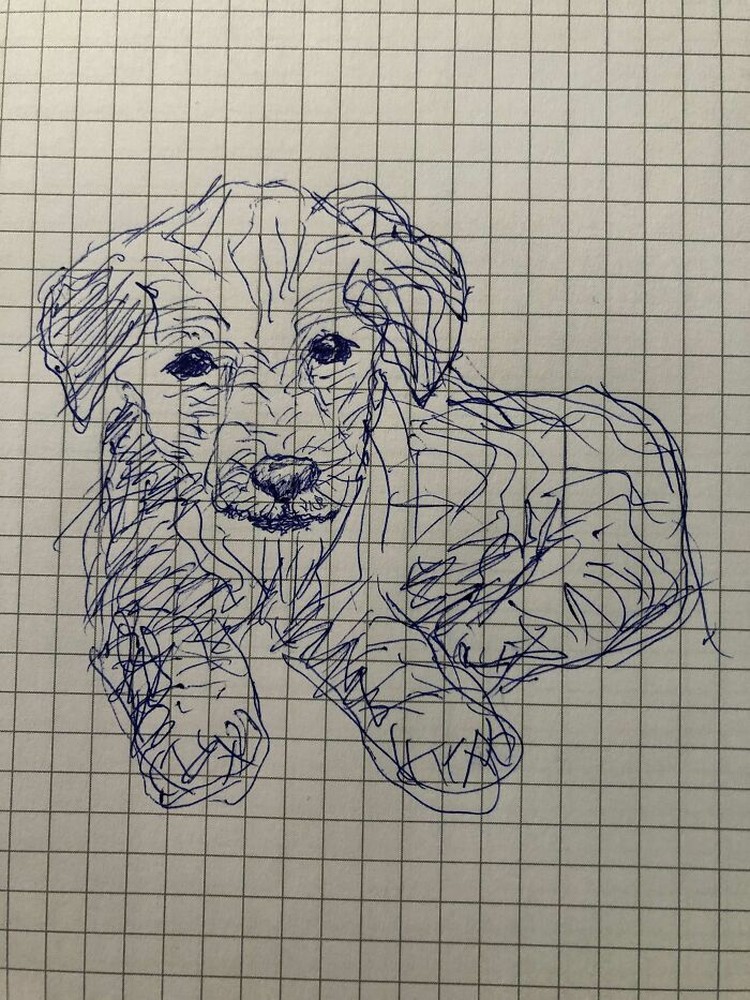 fotoinet gambar anjing tangan
