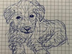 Ketika Mereka Ditantang Melukis Anjing dengan Tangan Nondominan