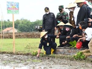 Perkuat Ketahanan Pangan, Mentan Dorong Pola Integrated Farming