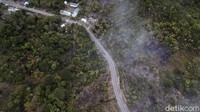 Hingga 2019 yang sudah tertangani (aspal) sepanjang 145,17 km. Tahun 2020, direncanakan penambahan hingga 164,57 km. Sementara sisanya akan dituntaskan pada tahun 2021 mendatang.