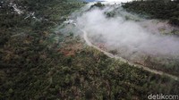 Ruas jalan sepanjang 179,99 km ini punya arti penting terutama bagi masyarakat di perbatasan yang terdapat komoditas perkebunan pohon kayu putih, kelor, dan jambu mete.