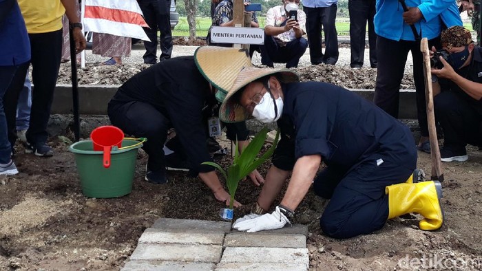 Mentan Syahrul Yasin Limpo menanam pohon kelapa di Karanganyar.
