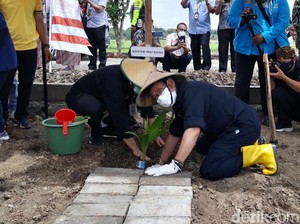 Mentan Kembangkan Komoditas Kelapa Pakai Cara Ini
