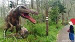 Melihat Dinosaurus di Mojosemi Forest Park