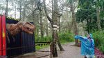 Melihat Dinosaurus di Mojosemi Forest Park