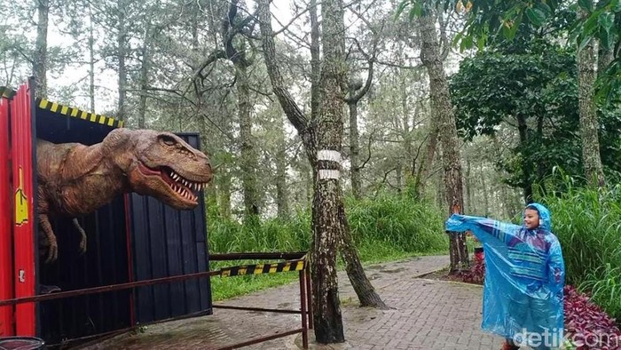 Menjelang libur Natal dan tahun baru, jumlah pengunjung di Mojosemi Forest Park, Magetan meningkat. Terlebih usai viral video dinosaurus mengamuk.