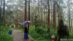 Melihat Dinosaurus di Mojosemi Forest Park