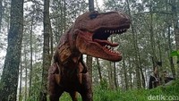 Karena masih pandemi COVID-19, pihak Mojosemi Forest Park akan membatasi jumlah pengunjung saat libur Natal dan tahun baru. Jika Natal tahun lalu mencapai tiga ribu per hari, tahun ini dibatasi 1.500 saja.