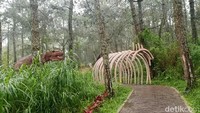 Mojosemi Forest Park berdiri di atas lahan milik Perhutani yang dikelola oleh PT Bumilawu Amarta Sentosa bekerja sama dengan Perhutani. Mojosemi Forest Park sudah lama dibuka, yaitu sejak 2015.
