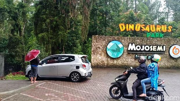 Mojosemi Forest Park Menjelang libur Natal dan tahun baru, jumlah pengunjung di Mojosemi Forest Park, Magetan meningkat. Terlebih usai viral video dinosaurus mengamuk.