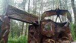 Melihat Dinosaurus di Mojosemi Forest Park