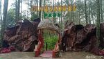 Melihat Dinosaurus di Mojosemi Forest Park