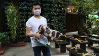 Seorang petugas sedang menghias Gereja Theresia dengan beragam ornamen bertema perayaan Natal.