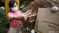 Pandemi COVID-19 membuat perayaan Natal tahun ini diselenggarakan dengan menerapkan protokol kesehatan.