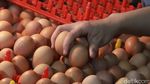 Harga Telur Ayam di Bandung Capai Rp 29 Ribu Jelang Nataru