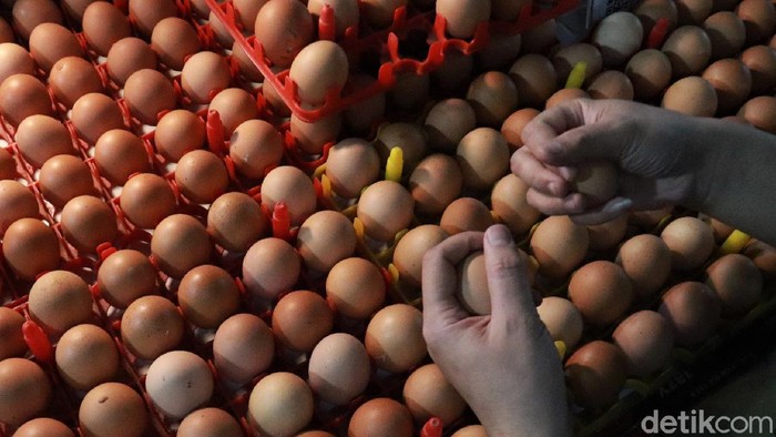 Harga telur ayam di pasar tradisional Kota Bandung mengalami kenaikan. Seperti halnya di Pasar Kosambi, harga telur ayam tembus Rp 29 ribu per kilogram.