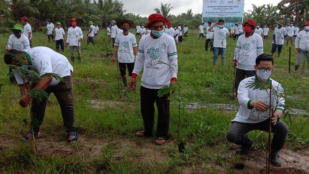 Kegiatan Menanam Pohon PT Nirvana Indonesia Yoga di Langkat