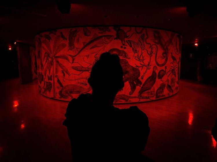 Melihat Karya Para Seniman Dunia yang Dipamerkan di Australia