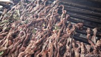 Selain itu, daun kosambi juga diketahui memiliki manfaat sebagai penyaring panas dan membuat warna daging tetap terjaga.