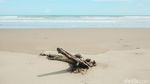 Padang Pasir Berbatasan Laut Ini Ada di Timur Indonesia