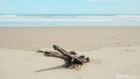 Menariknya, selain menyajikan hamparan pasir putih yang menawan, Pantai Oetune juga menjadi salah satu destinasi wisata andalan bagi para pencinta surfing. Pasalnya pantai ini juga cocok untuk dijadikan sebagai tempat berselancar karena ombak di pantai ini mencapai ketinggian 4-7 meter.