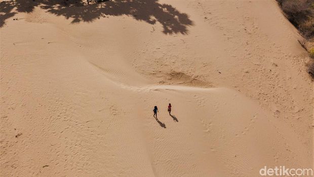 Hamparan pasir di Pantai Oetune jadi daya tarik tersendiri bagi wisatawan. Pantai itu pun cocok dijadikan tempat berselancar karena ombaknya yang tinggi.