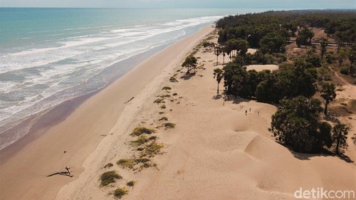 Hamparan pasir di Pantai Oetune jadi daya tarik tersendiri bagi wisatawan. Pantai itu pun cocok dijadikan tempat berselancar karena ombaknya yang tinggi.